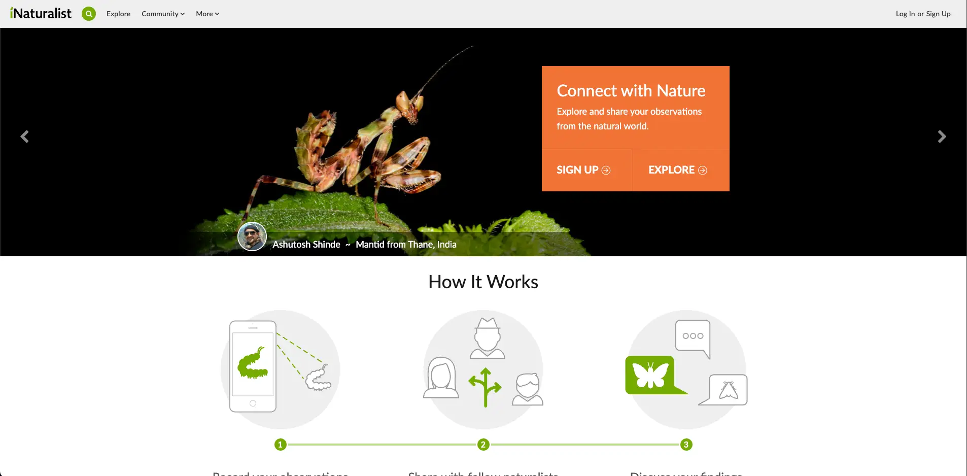 iNaturalist Website. Aplicativos e sites para trilhas e hiking.